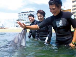 日间贺岛