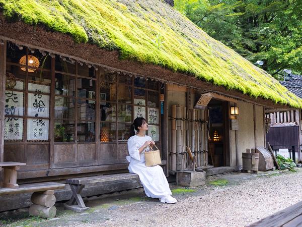 Sanshu Asuke Yashiki Living Museum