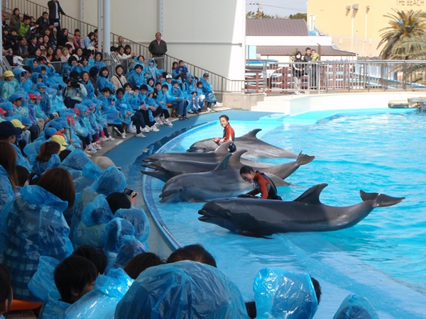 Minami Chita Beach Land amusement park