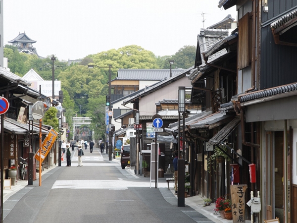 Inuyama Castle Town