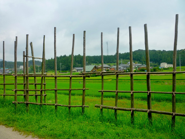 Looking towards the Takeda encampments across the killing fields of Nagashino Shitaragahara from behind the barricades.