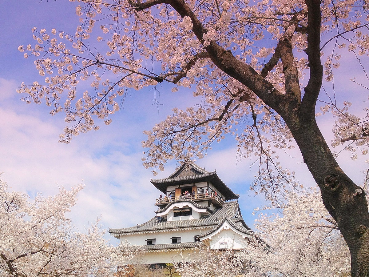 National Treasure Inuyama Castle