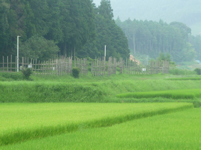 The Gun Battle of Nagashino, A Turning Point in Japanese History