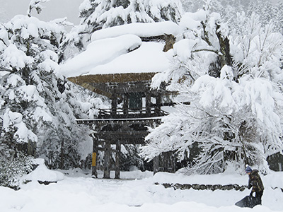 Meitetsu Kanko Bus - Dragons Pack Bus Tour - A One-Day Round Trip to Shirakawa-go!