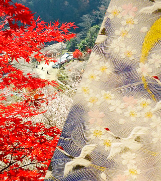 Cherry Blossom and Autumn Leaves Together? A wonder of nature that inspired the dawn of the crucial Obara Washi Paper craft