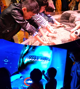 【日本首家】“观看･触摸･学习”水族馆“SEA LIFE nagoya”在名古屋登陆！