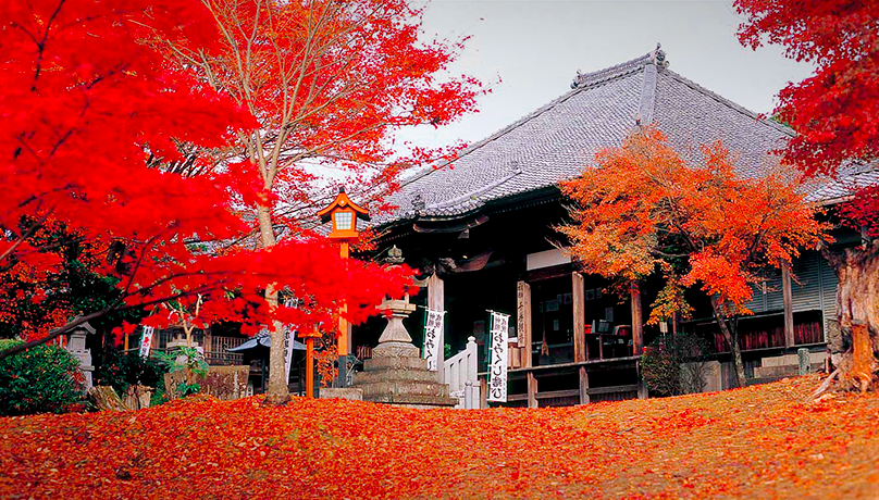 寂光院　紅葉節