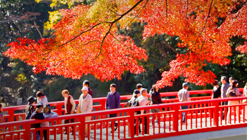 香嵐溪紅葉節