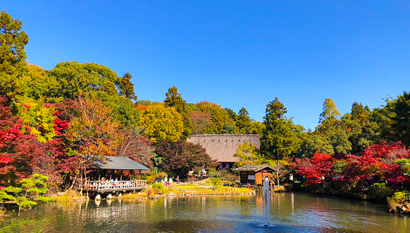 Higashiyama Zoo and Botanical Gardens Fall Leaves Collecting